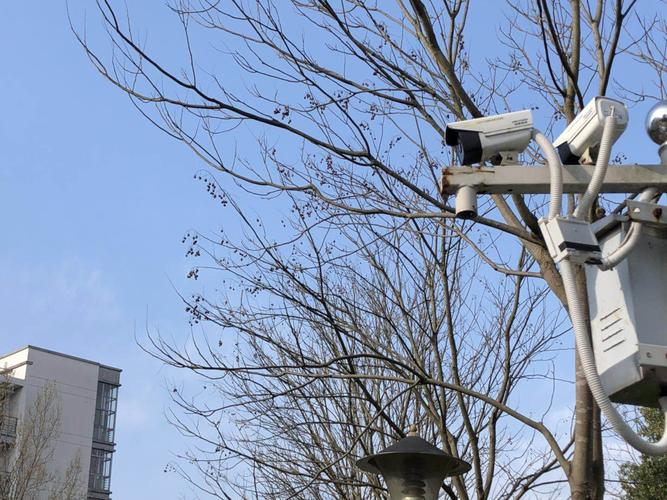 不休眠的“慧眼” 台州网络科技如何织就城市安全感知网